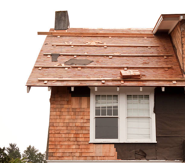 Best Historical Building Siding Restoration  in Kendall West, FL